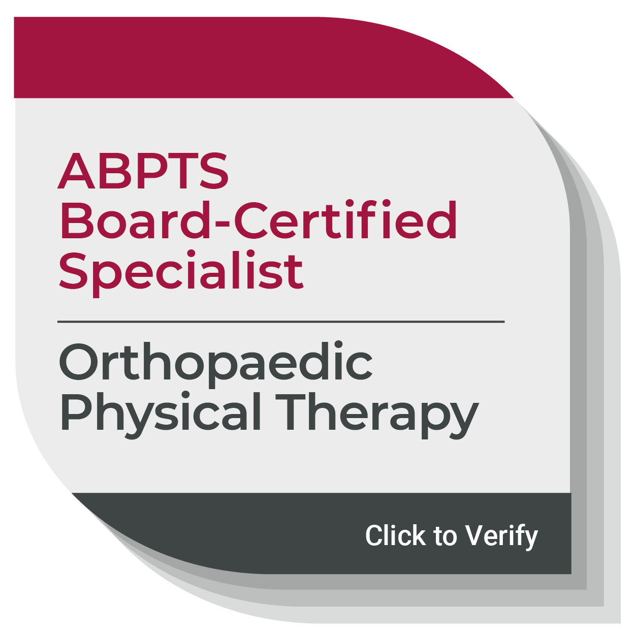 Physical Therapists